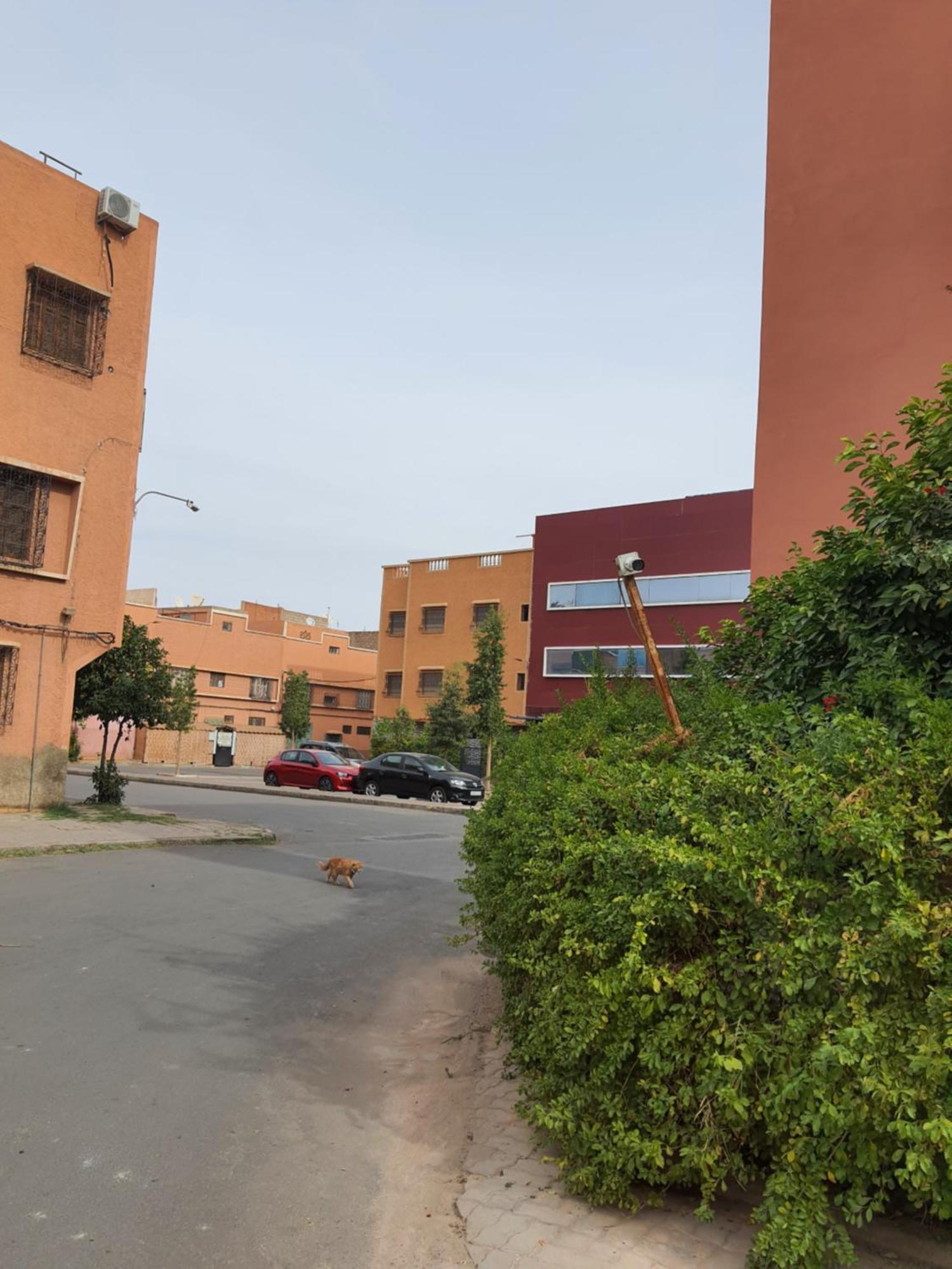 Marrakech Apartment Marrakesh Exterior photo