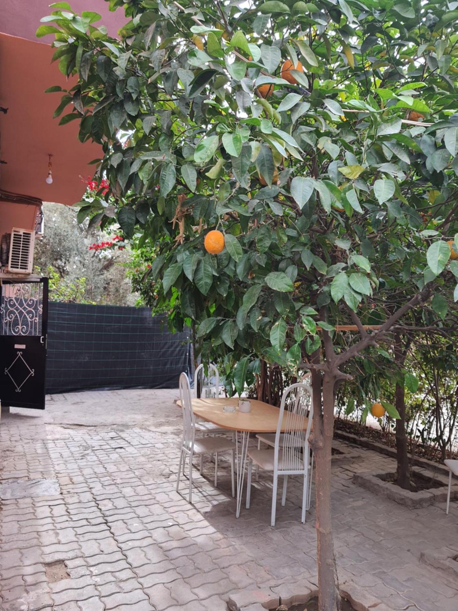 Marrakech Apartment Marrakesh Exterior photo